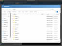 File Manager